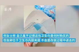 知名品牌被曝卫生巾内有虫卵，回应了图片