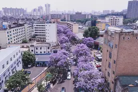14日向南云游｜想和你看遍所有“风花雪月”图片