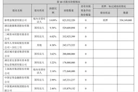 金才玖出任长江证券董事长，兼具第三大股东董事长身份图片