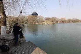 稀奇！海鸥再次“做客”大明湖，景区游船开辟新航线图片