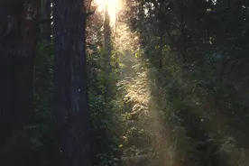 夜读｜不会夸人的，进来学习图片