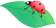 ˫̼⡱γǣ