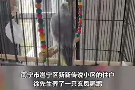 早读七点（2022.2.27）丨“戏精”同事一人分饰两角，痴情男深陷“网恋”被骗6万多元图片