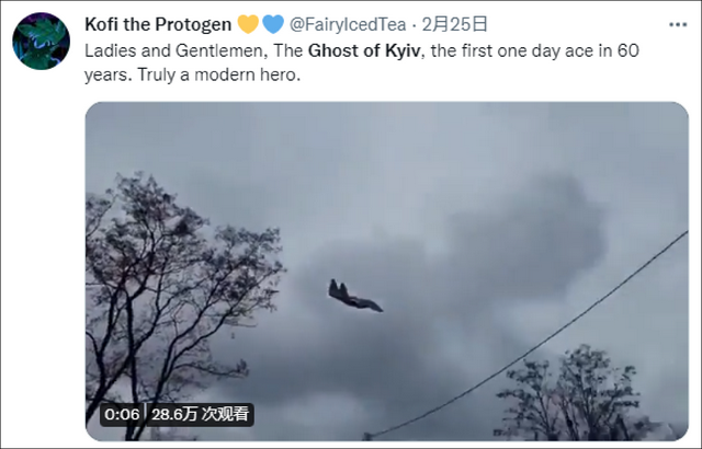 外网盛赞“基辅幽灵”击落俄战机，结果一看是游戏画面