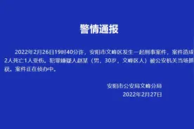 警方通报：安阳市一起刑事案致2死1伤，嫌疑人被当场抓获图片