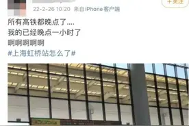上海高铁晚点上热搜！有人滞留车厢3小时，多趟列车停运又是因为这？图片