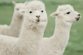 开学倒计时！贵阳这5个亲子出游地，还没去过的安排上图片