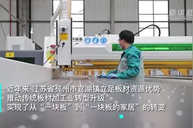 江苏邳州：板材加工转型升级迸发新动能视频封面