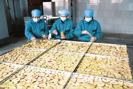 冻干农产品 致富新产业图片