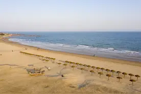 山东青岛海滨春光美 游人踏浪来图片