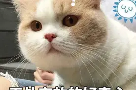 男子买彩票未付款，结果中了500万！现在压力转移到店主这边…图片