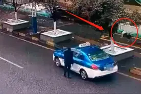 贵阳的哥当街“诱拐”宠物狗？狗主人：太气愤！不想赔偿，只想找到它图片