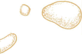 侏罗纪 —— 巨龙来袭，强者生存的时代图片