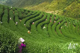 多彩新丰藏不住啦，想把整个春天寄给你图片