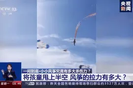 “忙趁东风放纸鸢”时，要小心风筝变“杀手”图片