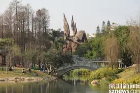 提醒！3月1日起，深圳这些公园、区域暂时关闭图片