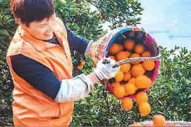 今年全国两会，代表委员关注哪些事儿图片