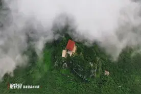 Love Shandong｜这里是山东·枣庄篇图片