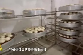 “小馒头”走上产业化“大舞台”助力乡村振兴图片