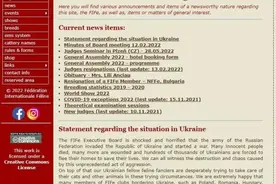 连俄罗斯的猫都被制裁，俄罗斯方块：我现在害怕极了图片