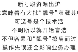 交管12123｜号牌号码如何选？一篇攻略全了解！图片