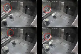 “积分套现”能发财？上海一男子非法获取商家积分获利被刑拘图片