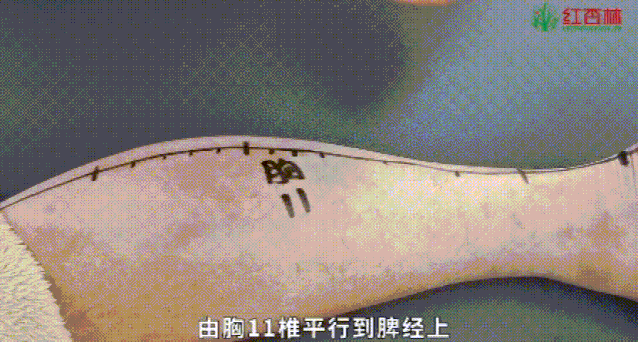 建了个中医学习群，南昌人民免费进，涉及腰痛、腿痛、颈椎痛等问题调理法，还剩200人群满图片