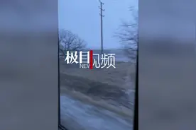 在乌华人讲述撤离回国之旅：一路都不觉辛苦，感谢强大的祖国图片