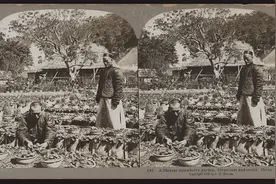 魔都草莓红了，你还没去采？图片