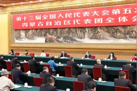 “不能把手里吃饭的家伙先扔了”，向运动式减碳坚决说“不”图片