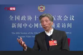 【两会30秒】中央美术学院院长范迪安：美术考级不可取视频封面