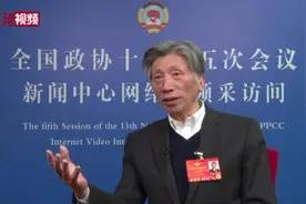 【两会30秒】中央美术学院院长范迪安：美术考级不可取视频封面