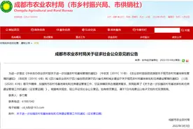 农村宅基地如何修？成都正在征求意见，赶紧来提图片