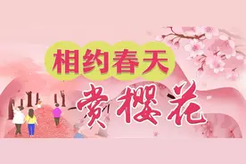 昼夜乘船、悠然骑行、坐车观光，武汉东湖三大赏樱专线3月12日开通图片