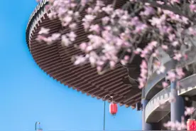 「洛阳38家A级景区免门票」活动预约和常见问题答疑图片