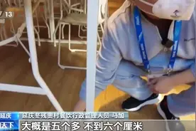 多国运动员盛赞北京冬残奥：很享受在这里的生活图片