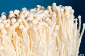 金针菇吃了等于白吃？原来一直误会它了……图片