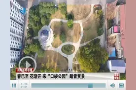 阳光正好 荆州“口袋公园”成市民踏青赏景好去处图片