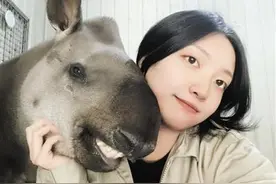 在天津动物园，“貘姐姐”“大熊猫妈妈”们精心饲养呵护动物 动物就是我们的“宝贝儿”图片