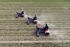 新华全媒+丨借得春风向未来——山东蹄疾步稳推进乡村振兴四年掠影图片