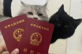 他们，领证了图片