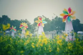 满目金黄香百里，湖北最美油菜花海推荐！图片