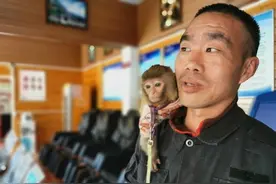 济源男子收留一“落单”小猴 悉心照料半年感情深厚图片