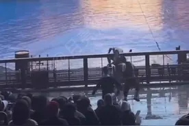 北京环球度假区回应演员被踢：演员身体无碍，当事游客已道歉图片