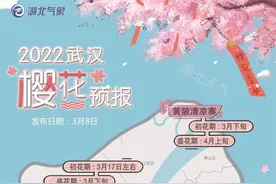 你有一份武汉的“赏樱时间表”请查收图片