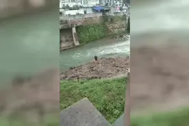 市民拍视频曝光！溪流湍急，竟有人赤脚下水徒手捕鱼图片