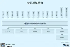 A股打新｜“妖镍”横行，千亿龙头两跌停，这家钴企却要上市图片