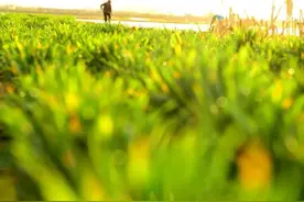 春天里的中国有多美！每一张都值得收藏图片