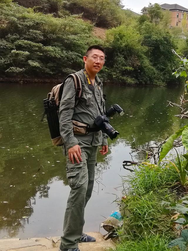 被“嫌弃”的虫子的一生，有许多你不知道的故事