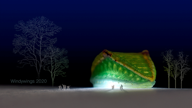 被“嫌弃”的虫子的一生，有许多你不知道的故事